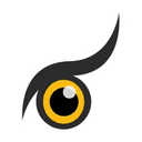 WordPress Developer